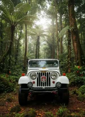 Jual bekas Jeep CJ5 tahun 50 stir kiri,lokasi di  