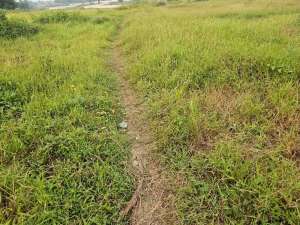 Jual Cepat Tanah Pinggir Jalan Raya Cikande Rangkasbitung Banten lokasi di Serang Kab., tersedia melalui melalui situs Olx