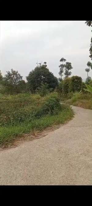 Jual tanah cigugur lokasi di Kuningan Kab., tersedia melalui melalui situs Olx