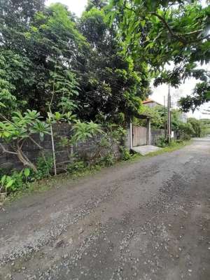 JUAL TANAH KAVLING SIAP BANGUN DI RENON DENPASAR lokasi di Denpasar Kota, tersedia melalui melalui situs Olx