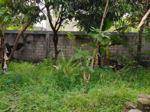 Jual Tanah kavling siap bangun di sutami dekat Maranatha tol Pasteur Bandung Kota lokasi di Bandung Kota, tersedia melalui melalui situs Olx