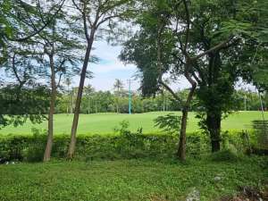 Kavling PIK 1 Diamond Golf luas 1.700m2 View Golf Hrg 70jtm2 lokasi di Jakarta Utara, tersedia melalui melalui situs Olx