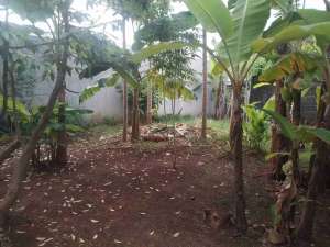 KavlingSiap Bangun di Bintaro Sektor 5Harga Murah..dibawahPasaran lokasi di Tangerang Selatan Kota, tersedia melalui melalui situs Olx