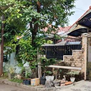 RUMAH BAGUS MURAH TERJANGKAU ALAM RAYA TANGERANG lokasi di Tangerang Kota, tersedia melalui melalui situs Olx