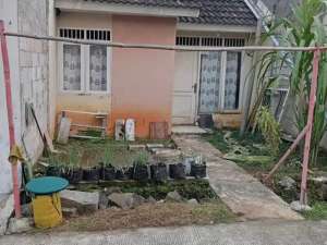 Rumah Terawat 1 Lt di Bogor Dekat Faskes dan Sekolah Siap KPR J-41319 lokasi di Bogor Kota, tersedia melalui melalui situs Olx