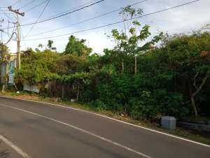 Tanah Cocok Untuk Hotel lengkap izin Taman Giri Jimbaran Bali lokasi di Kab. Badung, tersedia melalui melalui situs Olx