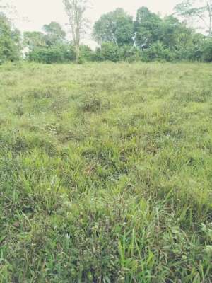 TANAH DATAR DIJUAL BU DEKAT MILLENIUM INDUSTRI PANONGAN lokasi di Tangerang Kab., tersedia melalui melalui situs Olx