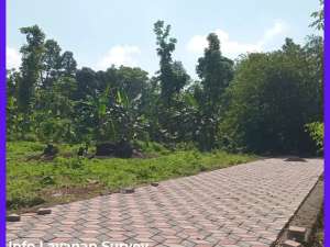 Tanah Jogja Area Jl Kaliurang Km 13 Dekat Kampus UII lokasi di Sleman Kab., tersedia melalui melalui situs Olx