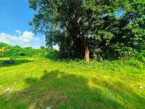 Tanah Leasehold 25 tahun zona pemukiman taman mumbul nusa dua Bali lokasi di Kab. Badung, tersedia melalui melalui situs Olx