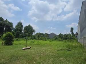 Tanah Luas Siap Bangun di Jagakarsa Cocok untuk Townhouse 5,5 Jutam lokasi di Jakarta Selatan, tersedia melalui melalui situs Olx