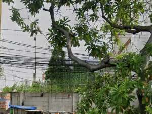 Tanah Mangga Besar Raya 698m, jalan utama, sangat strategis, cocok untuk bank, hotel, showroom dll lokasi di Jakarta Barat, tersedia melalui melalui situs Olx