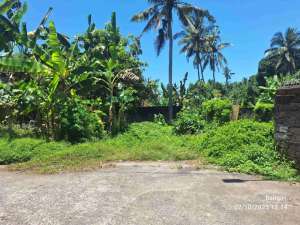 Tanah Murah 150 M di Padangkerta, Karangasem lokasi di Karangasem Kab., tersedia melalui melalui situs Olx