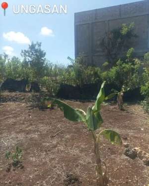 Tanah premium siap bangun di Ungasan, 300 meter ke pantai lokasi di Kab. Badung, tersedia melalui melalui situs Olx