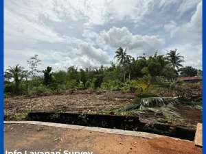 Tanah SHM Pekarangan Utara Pasar Rejodani Jl Palagan Jogja lokasi di Sleman Kab., tersedia melalui melalui situs Olx