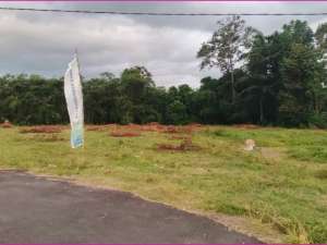 Tanah SHM Purwomartani Akses Jalan Aspal lokasi di Sleman Kab., tersedia melalui melalui situs Olx