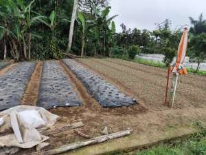 Tanah SHM ukuran kecil di Bedugul lokasi di Tabanan Kab., tersedia melalui melalui situs Olx