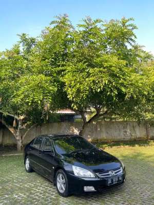 Honda accord simpanan , tersedia melalui melalui situs Olx