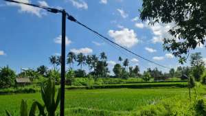 DIJUAL CEPAT TANAH DI PEJENG KAJA, BALI lokasi di Gianyar Kab., tersedia melalui melalui situs Olx