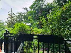 Dijual Murah Rumah BSD sektor 1,1 Serpong Tangerang Selatan lokasi di Tangerang Selatan Kota, tersedia melalui melalui situs Olx