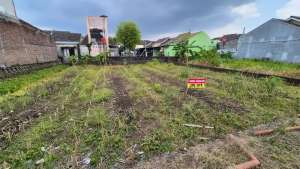 Dijual Tanah 440m SHM , MRANGGEN BATURSARI lokasi di Demak Kab., tersedia melalui melalui situs Olx