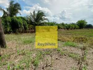 Dijual Tanah Di JL. Lintas Sumatera, Kalianda, Lampung Selatan KodeAY 3451 lokasi di Lampung Selatan Kab., tersedia melalui melalui situs Olx