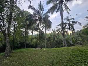 Dijual tanah kebun subur dengan view jugle dan los sungai kecil lokasi di Tabanan Kab., tersedia melalui melalui situs Olx