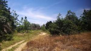 DIJUAL TANAH SHM PINGGIR JALAN LINTAS SUMATERA - MUSI RAWAS lokasi di Kab. Musi Rawas Utara, tersedia melalui melalui situs Olx