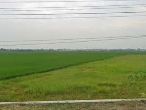 lahan industri Pemalang -Jateng Lokasi strategis - 15 menit ke exit toll Pemalang lokasi di Pemalang Kab., tersedia melalui melalui situs Olx