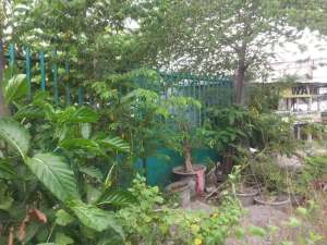 Jual Tanah kavling di sidojangkung menganti. Depan perumahan BayLeaf lokasi di Gresik Kab., tersedia melalui melalui situs Olx