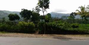 JUAL TANAH NAGREK RANCAEKEK BANDUNG lokasi di Bandung Kota, tersedia melalui melalui situs Olx