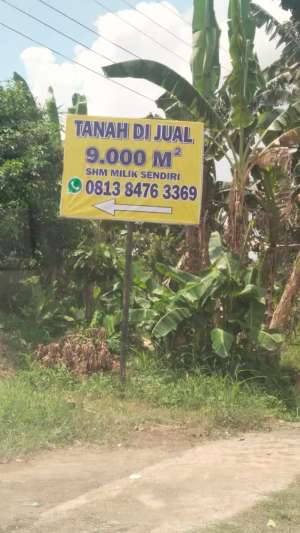 KALIANDA, TANAH DIJUAL MURAH BUTUH UANG lokasi di Lampung Selatan Kab., tersedia melalui melalui situs Olx