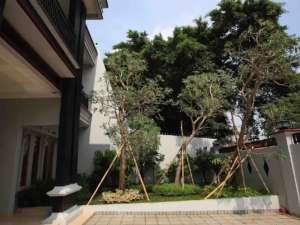 Rumah Ada Lift DiKebon Jeruk lokasi di Jakarta Barat, tersedia melalui melalui situs Olx