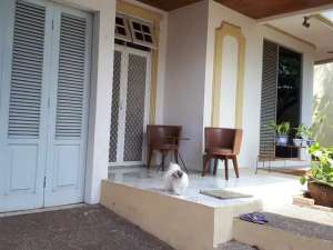 Rumah Besar Asri Di Bukit Cinere Indah Bagus Murah lokasi di Depok Kota, tersedia melalui melalui situs Olx