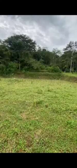 Tanah bagus murah Tegal jual cepat lokasi di Tegal Kab., tersedia melalui melalui situs Olx