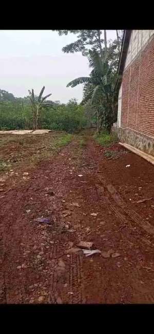 Tanah ploting kuning di batang cocok buat perumahan lokasi di Batang Kab., tersedia melalui melalui situs Olx