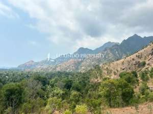 DIJUAL TANAH SELUAS 54 ARE DI PEMUTERAN lokasi di Jembrana Kab., tersedia melalui melalui situs Olx