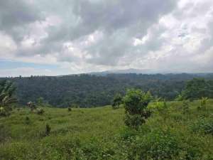 Dijual tanah view lembah sangat cantik di kintamani bali lokasi di Kab. Bangli, tersedia melalui melalui situs Olx