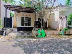 Disewakan rumah cluster mewah di Beranda Bali BSB Semarang lokasi di Semarang Kota, tersedia melalui melalui situs Olx