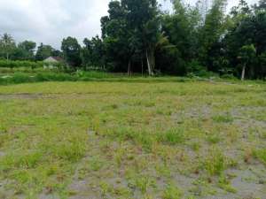 Investasi Menguntungkan Tanah Di Area Ngaglik Sleman Cocok Untuk Kost Maupun Villa lokasi di Sleman Kab., tersedia melalui melalui situs Olx