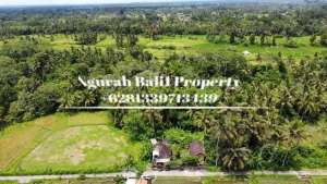 Jual Tanah Murah Luas 5700 m2 View Sungai dan Hutan Lingkungan Villa di Pejeng Kangin lokasi di Gianyar Kab., tersedia melalui melalui situs Olx