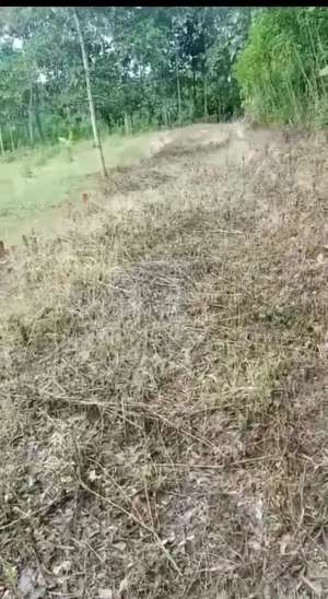 Jual Tanah Pekarangan luas Bisa tukar Tambah Mobil lokasi di Trenggalek Kab., tersedia melalui melalui situs Olx