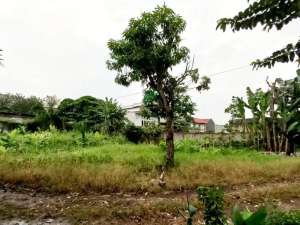 Kavling strategis dekat universitas pamulang - setiabudi pamulang timur lokasi di Tangerang Selatan Kota, tersedia melalui melalui situs Olx