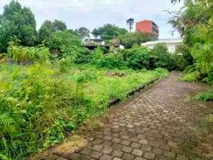 tanah bumbak umalas bali lokasi di Kab. Badung, tersedia melalui melalui situs Olx
