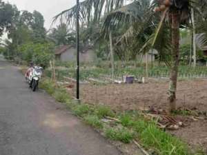 Tanah Dijual 1 Hektar dekat Bandara YIA lokasi di Kulon Progo Kab., tersedia melalui melalui situs Olx